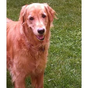 Meet your Posher, Teresa